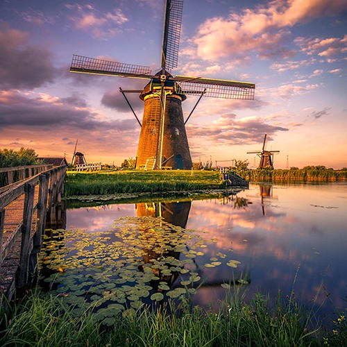 Hollandaca Terc�me Noter Tasdikli